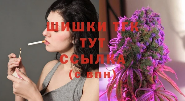 индика Касимов