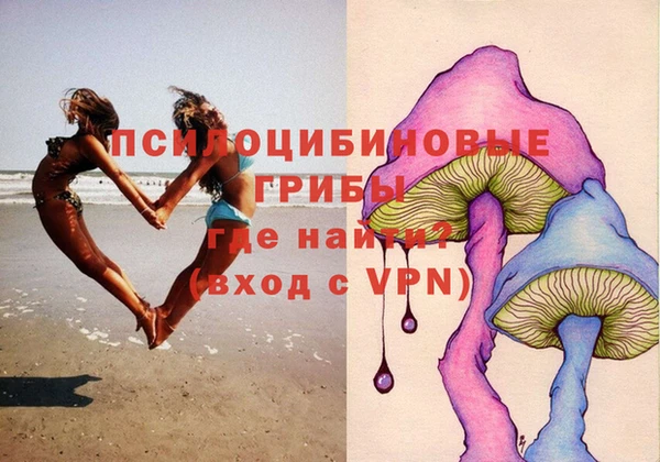 бутират Каменка