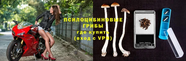 бутират Каменка