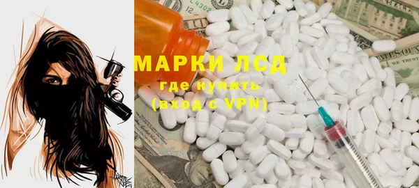 индика Касимов